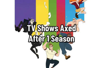 TV Shows That Were Canceled After Just One Season