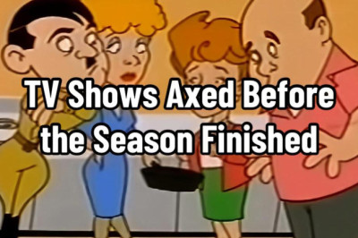 TV Shows That Were Axed Before the Season Finished