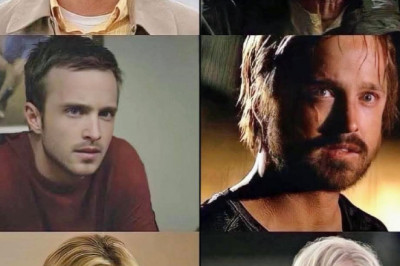 Breaking Bad Character Evolution